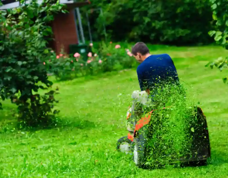 Can you mow wet grass in Santa Maria, CA 