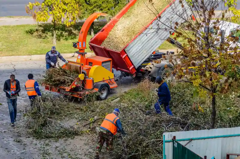 How To Clean A Backyard in Santa Maria, CA 