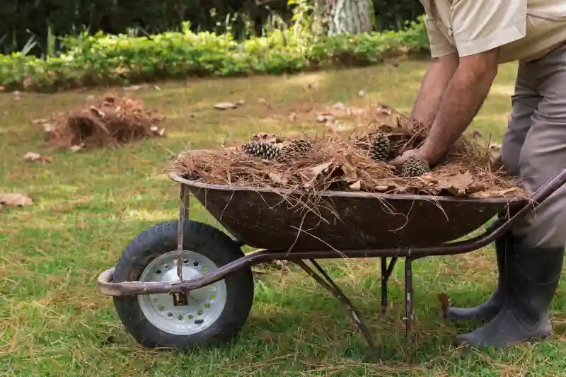 How to clear a yard full of weeds in Santa Maria, CA 