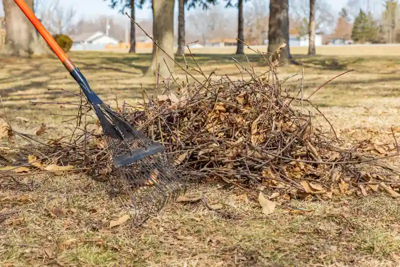 How to clear a yard full of weeds in Santa Maria, CA 