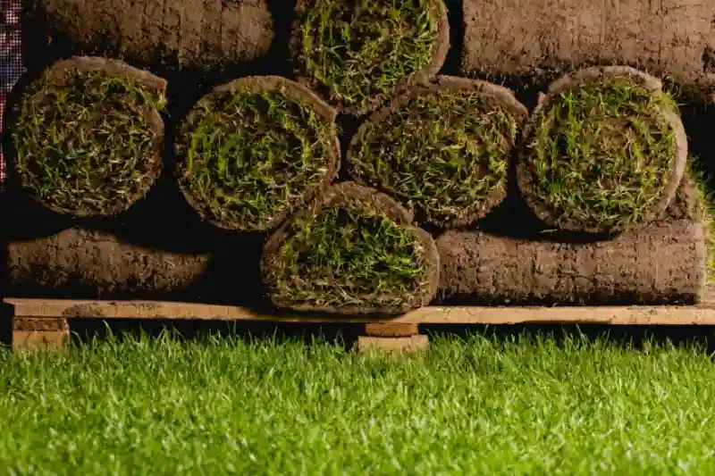 How to lay sod over existing lawn in Santa Maria, CA 