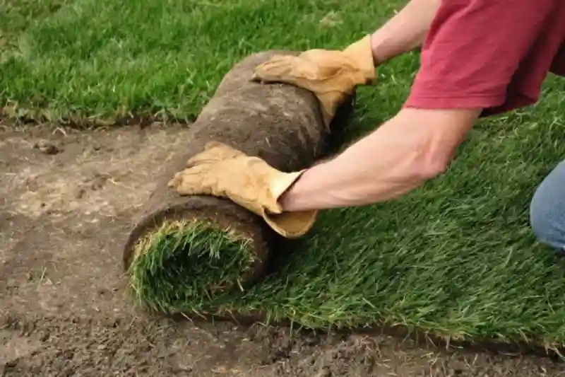 How to lay sod over existing lawn in Santa Maria, CA 