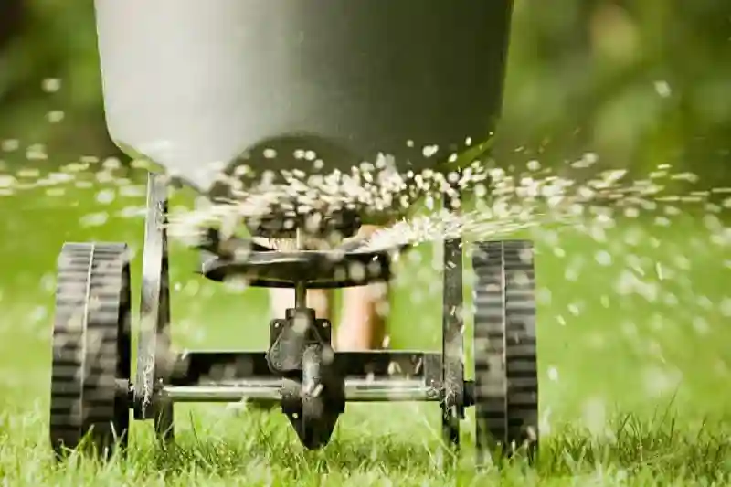 Reliable Lawn Fertilization Service in Santa Maria, CA 