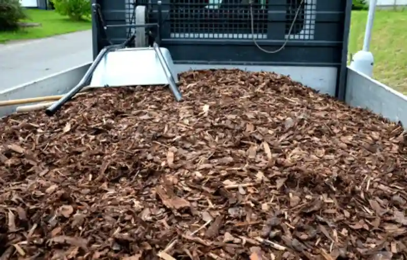 Reliable Mulching Service in Santa Maria, CA 