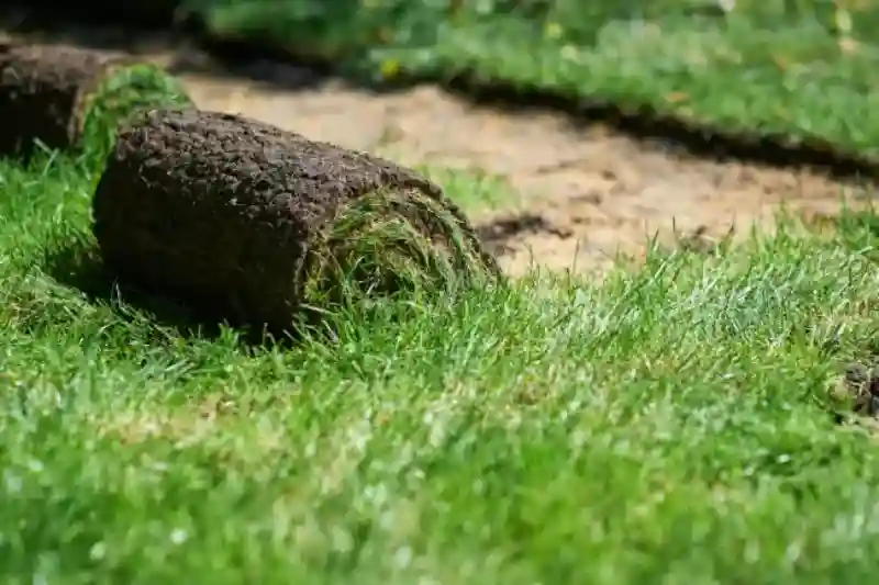 Reliable Sod Installation Service in Santa Maria, CA 