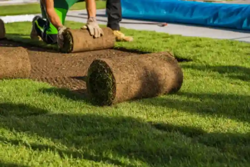 Professional Sod Installation Service in Santa Maria, CA 