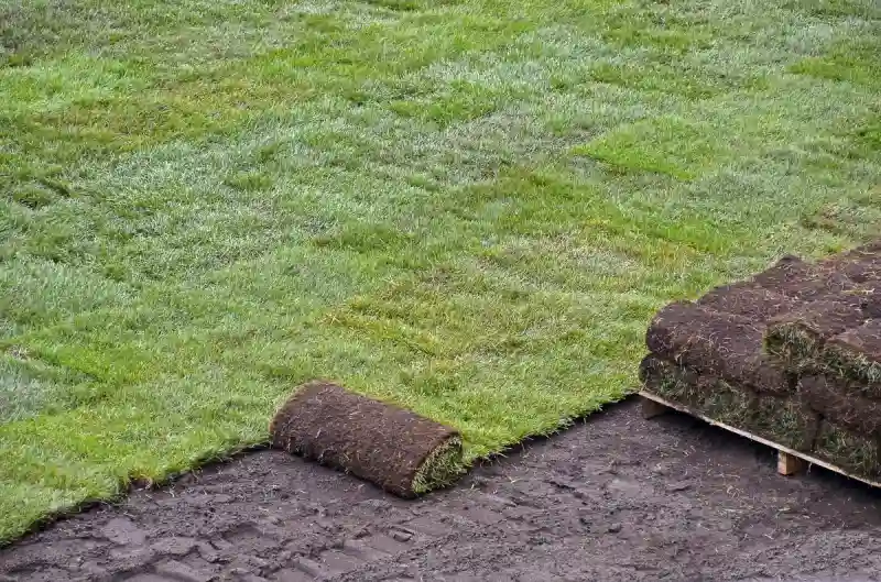 Outstanding Sod Installation Service in Santa Maria, CA 