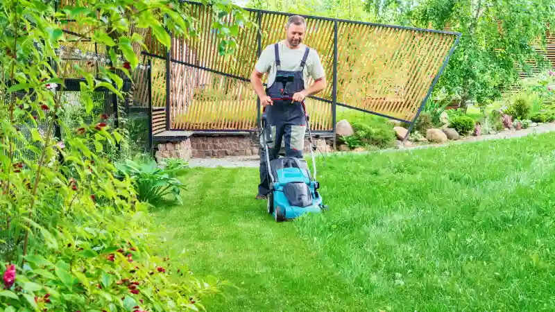 Yard Cleanup, Lawn Edging and Mowing