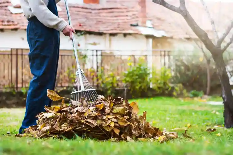 Outstanding Yard cleanup Service in Santa Maria, CA 