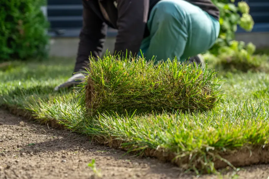 Landscaping contractor in Santa Maria CA Landscaping contractor in Santa Maria CA
