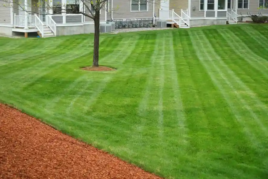 Lawn Mowing Service